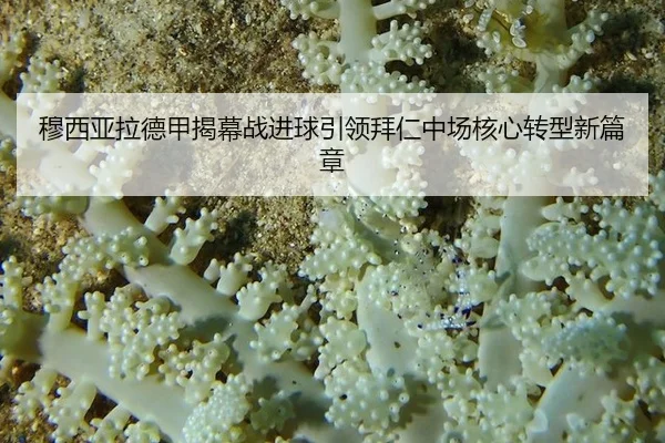 mu-xi-ya-la-de-jia-jie-mu-zhan-jin-qiu-yin-ling-bai-ren-zhong-chang-he-xin-zhuan-xing-xin-pian-zhang-2-896.jpg