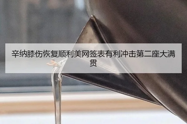 辛纳膝伤恢复顺利美网签表有利冲击第二座大满贯