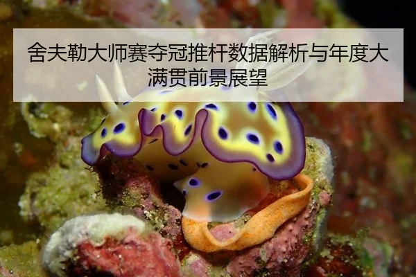 舍夫勒大师赛夺冠推杆数据解析与年度大满贯前景展望