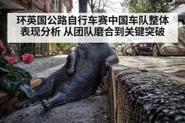 环英国公路自行车赛中国车队整体表现分析 从团队磨合到关键突破