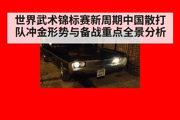 世界武术锦标赛新周期中国散打队冲金形势与备战重点全景分析